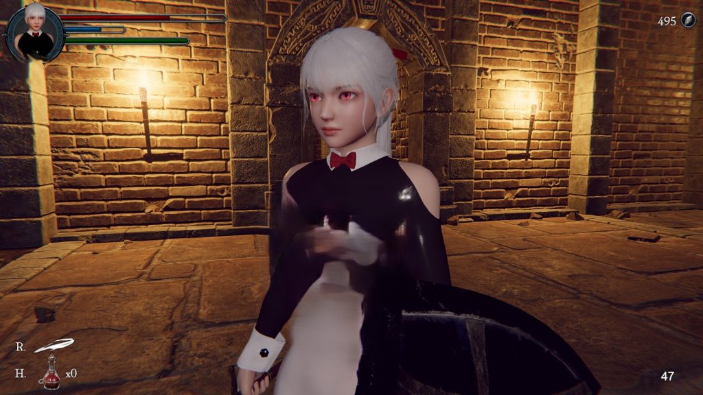 [3D战斗/全动态] 地下城的女骑士 官中步兵版 [PC/2G]-牛牛资源库